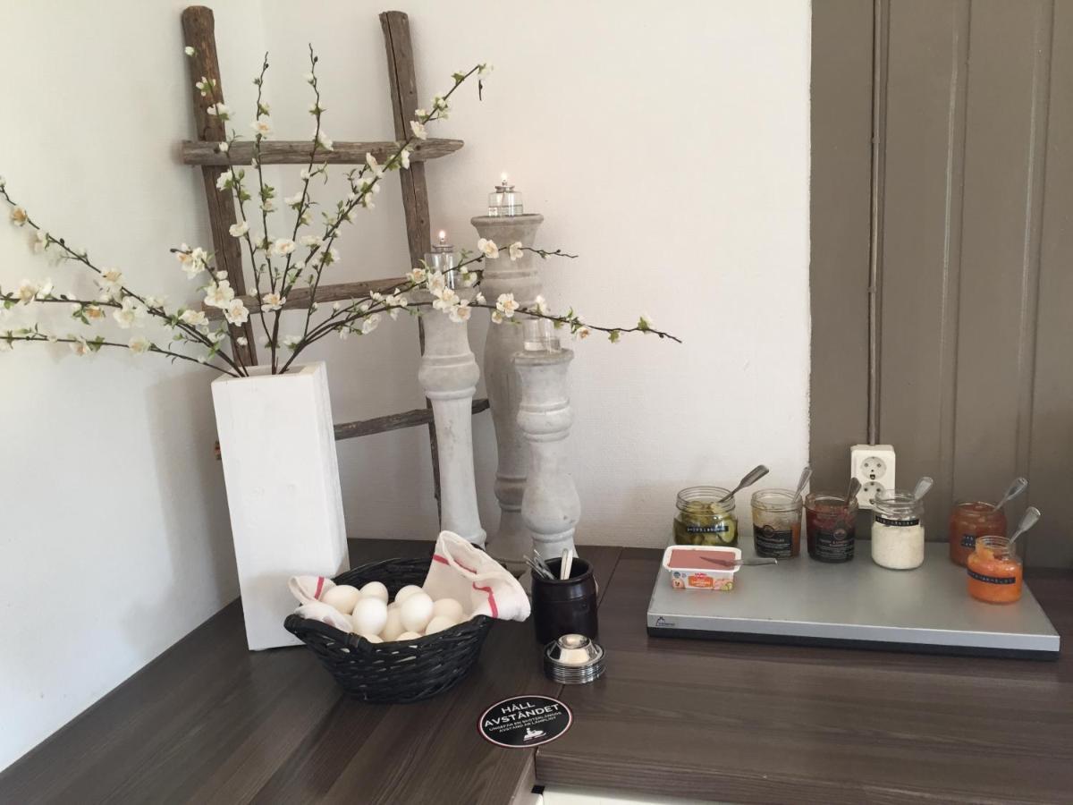 Marsfjaell Mountain Lodge Vandrarhem I Saxnaes エクステリア 写真
